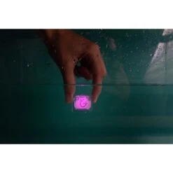 Glo Pals 4 Pack(Glo Pals 4 Pack) -Shower Me With Love IMG 9484