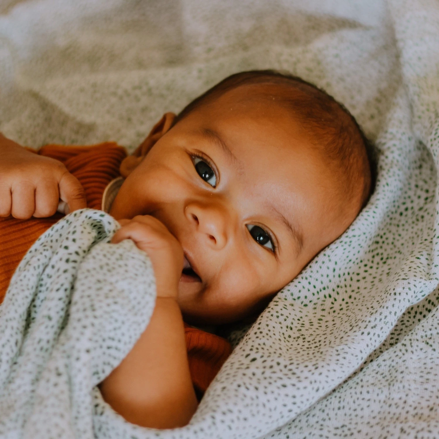 Little Unicorn Cotton Muslin Swaddle Blanket | Green Seed(Little Unicorn Cotton Muslin Swaddle Blanket Green Seed) 4 Little Unicorn Cotton Muslin Swaddle Blanket | Green Seed(Little Unicorn Cotton Muslin Swaddle Blanket Green Seed) - Image 4